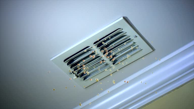 Best HVAC Air Duct Cleaning  in West Liberty, OH